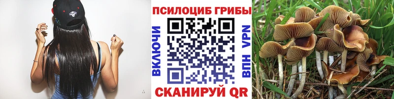 где купить наркоту  Назрань  Галлюциногенные грибы MAGIC MUSHROOMS 
